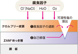 クロムフリー処理皮膜の防食機構