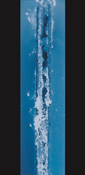 ZAM®-EX／经过时间：100h