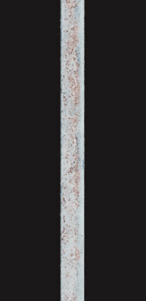 ZAM®-EX／经过时间：2周后