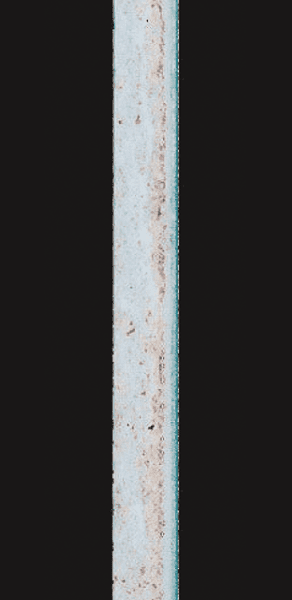 ZAM®-EX／6个月后