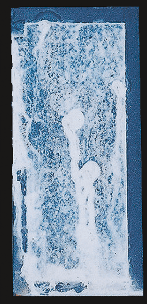热浸镀Zn-5%Al合金／1,200h