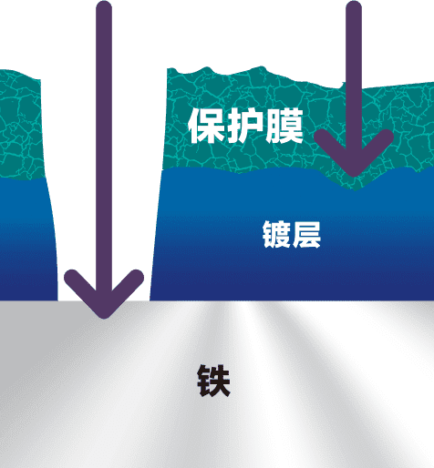 4.若其皮膜粗糙则通过水分和氧而进行腐化