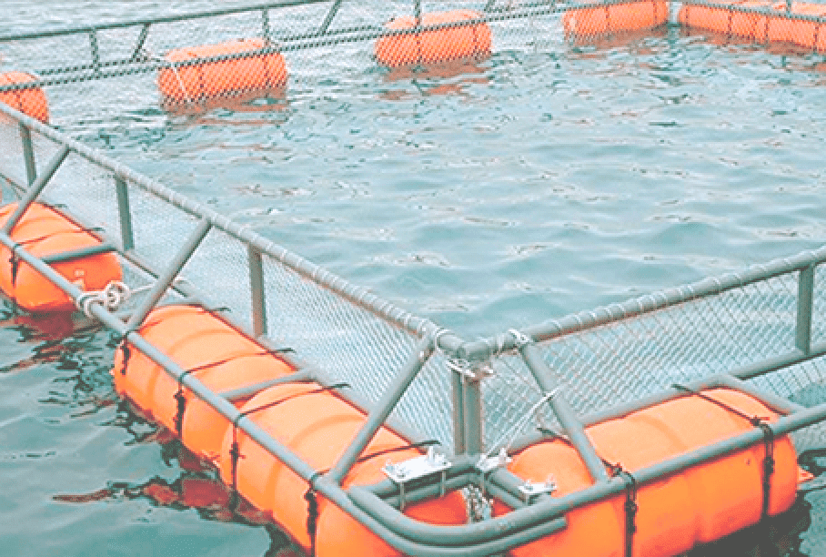 PORTFOLIO Japan Thumbnail