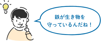 鉄が生き物を守っているんだね！