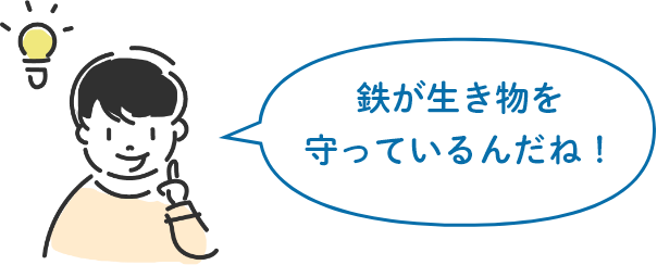 鉄が生き物を守っているんだね！