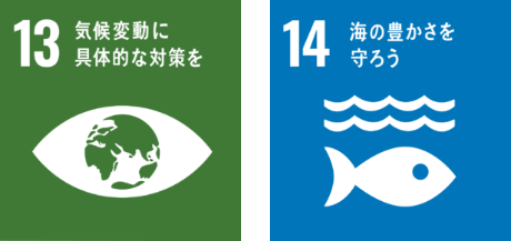 Goal 13 Climate action and Goal 14 Life below water