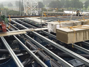 Roof purlin
