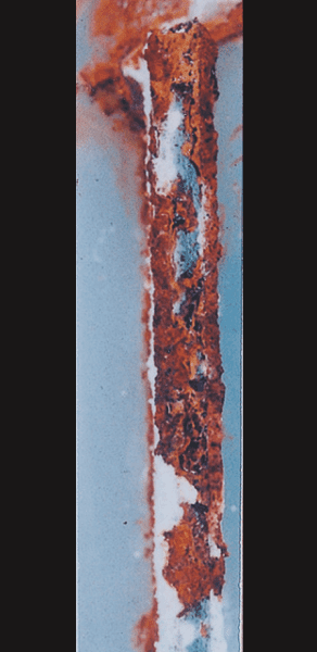 55% Al-Zn alloy coated steel／1,000h