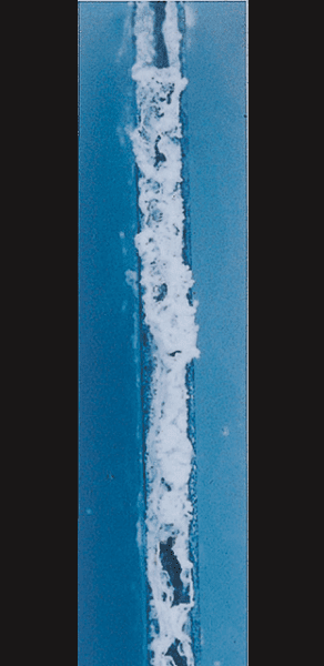 Zn-5% Al alloy coated steel／Lapse of time：100h 