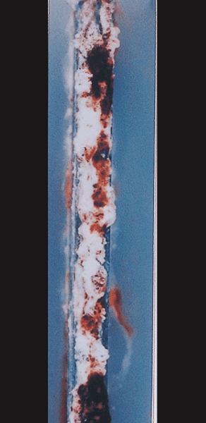 Zn-5% Al alloy coated steel／5,000h