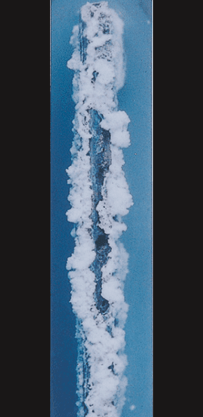 Galvanized steel／Lapse of time：100h 