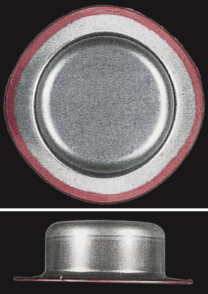 Zn-5% Al alloy coated steel／Lapse of time: 500h 