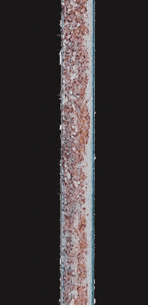 Galvanized steel／Lapse of time: After 2 weeks