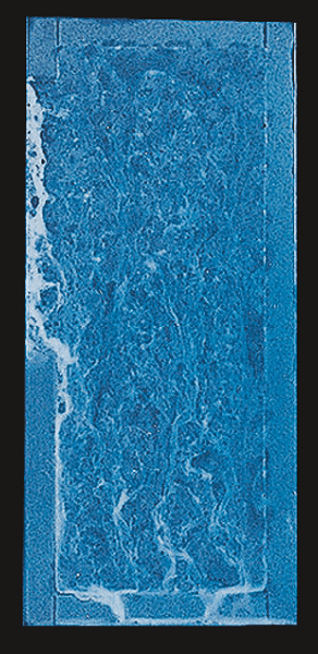 ZAM-EX／Lapse of time: 500h 