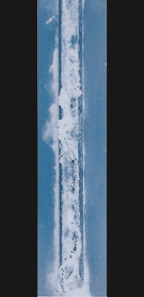 ZAM®-EX／1,000h