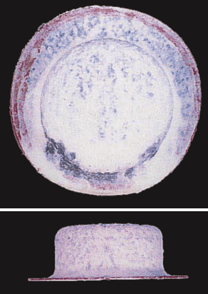 ZAM®-EX／2,000h