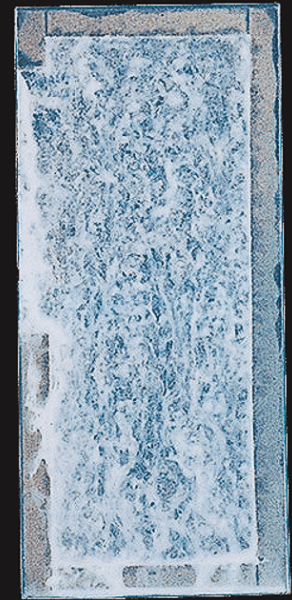 ZAM®-EX／1,200h