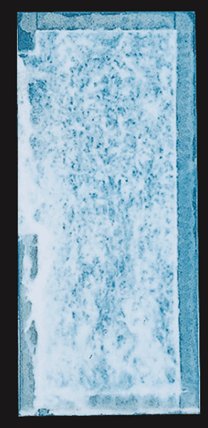 ZAM®-EX／2,500h