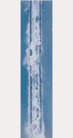 1000h後　ZAM &reg;