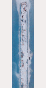 5000h後　ZAM &reg;