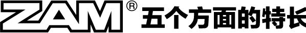 ZAM五个方面的特长