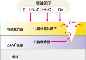 铬酸盐处理皮膜的防蚀机理