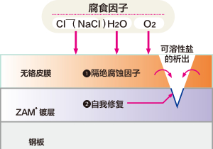 无铬处理皮膜的防蚀机理