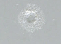 点焊部位 : ZAM&reg;ZP处理