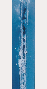 100h　ZAM &reg;