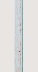 六个月后 ZAM &reg;