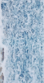 1200h　ZAM &reg;