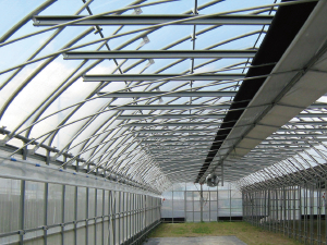 农业大棚（超低成本耐候性大棚）