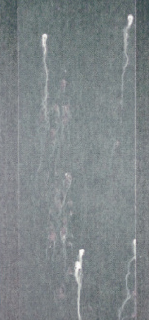 Appearances after salt spray test : ZG treatment