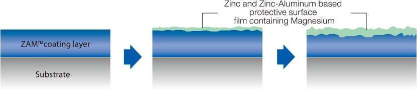 ZAM&trade;
