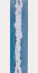 1000h Zn-5% Al alloy coated steel