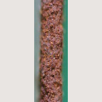 2t bent sections Hot-dip 55%Al-Zn alloy coated AZ150 Organic chromate treatment