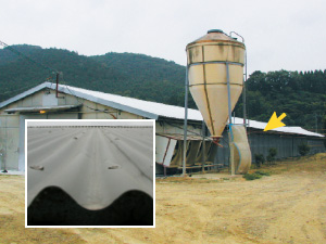 Henhouse roof